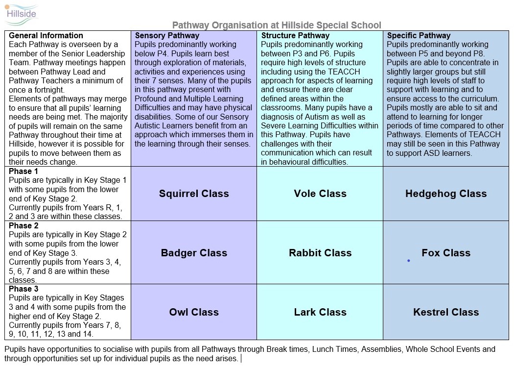 Classes organised by pathway and phase