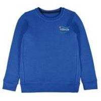 Royal Blue Sweatshirt